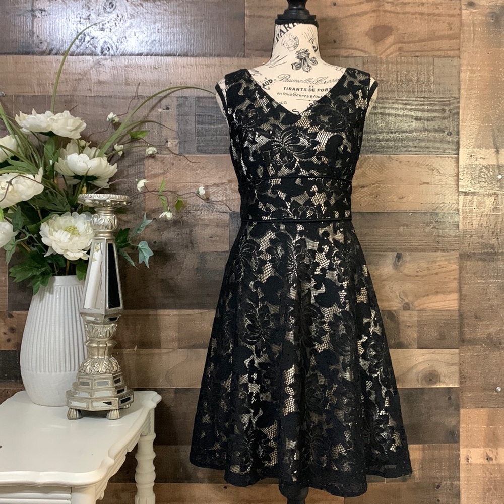 🍃🌸 Tahari ASL Dress Size 8P